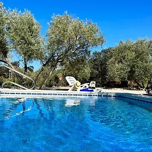 La Mejorana Refugio Andaluz Con Piscina Entre Olivos Villanueva de Tapia